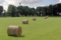 Hay bales Scotland